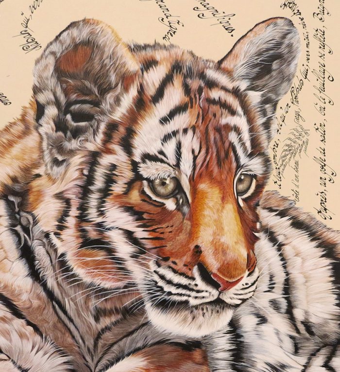 Le prince du Pendj'Ab (Tigre) – Image 2