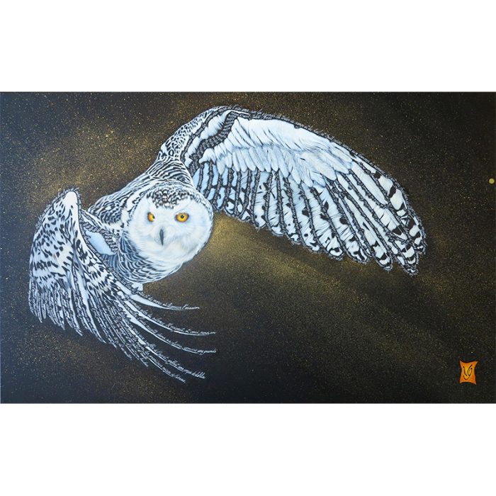 Neiges (Chouette des neiges)