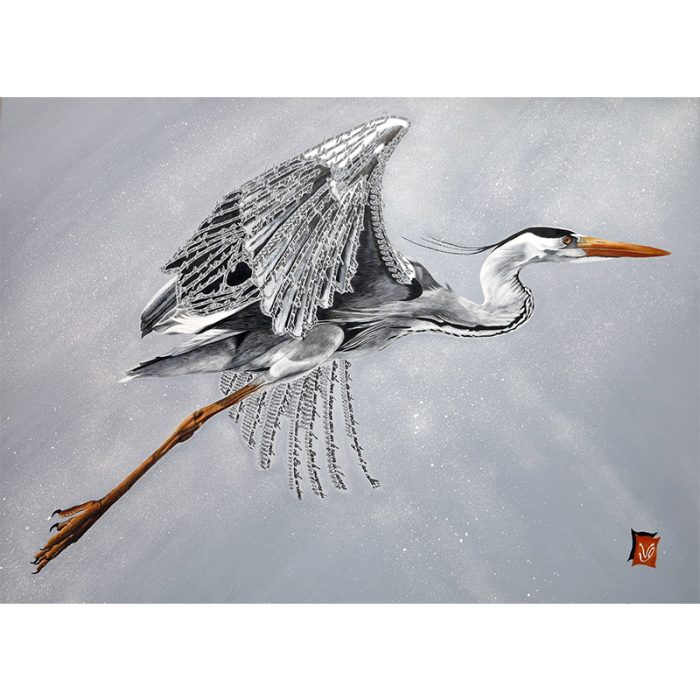 Envol (Heron)