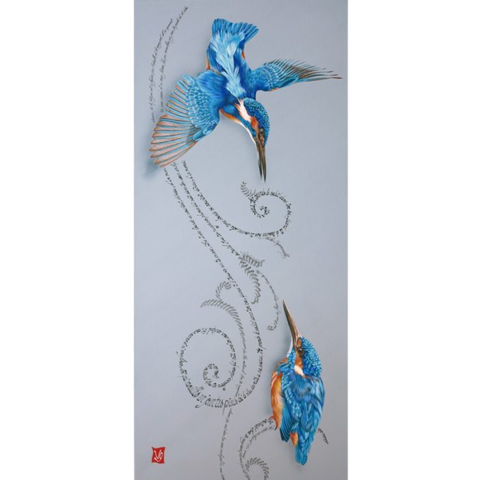 Outreciel (Martins-pêcheurs)