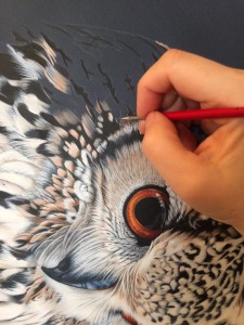 hibou progress