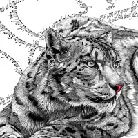 Nuit (Léopard des neiges) – Image 2