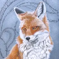 Unique au monde (Renard) – Image 2