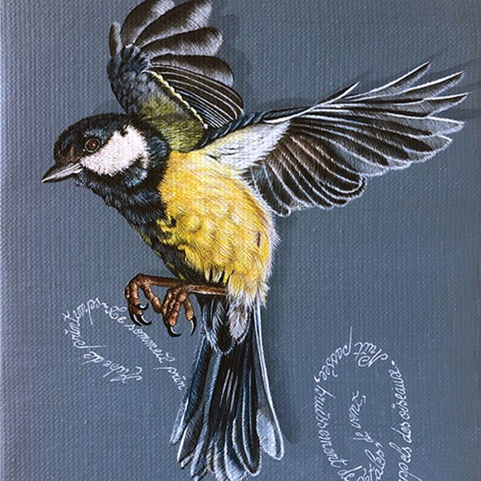 Mésange (Oiseaux de printemps) – Image 2