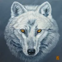 Venu du froid (loup arctique)