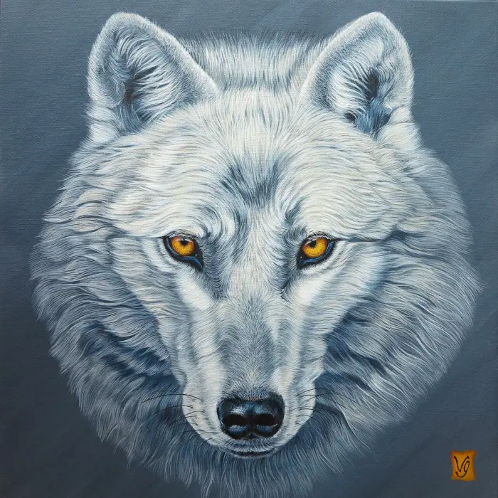 Venu du froid (loup arctique)