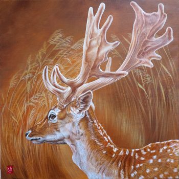 Dans la roselière (Daim), Acrylique sur toile, 80 x 80 cm, 2022- <span class="mydispo"><a href="/contact">Disponible</a></span>