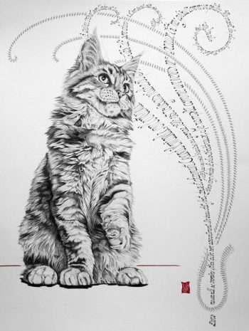 Séraphique (Maine Coon), Encre et calligraphie d'après un poème de Baudelaire, 60 x 80 cm, 2015 - Collection particulière