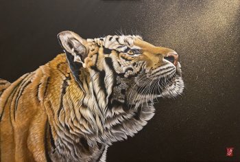 Espoir (Tigre), Acrylique et poudre de bronze sur toile, 70 x 100 cm, 2021-Collection particulière