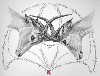 Attaches céleste, Encre et calligraphie d'après un poème de Senghor, 46 x 51 cm, 2015 - Collection particulière