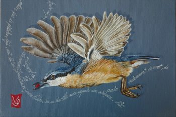 Oiseau de printemps (sittelle), Acrylique et calligraphie d'après un poème de Meng Hao Jan, 16 x 24 cm, 2019 - Collection particulière