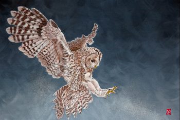 Bruissement d'ailes (Chouette Hulotte), Acrylique sur toile, 60 x 80 cm, 2019- <a style='font-size:20px;'href='https://www.valerieglasson.com/contact/'><strong>Disponible</strong></a>