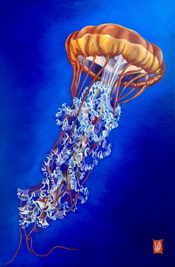 Fleur d'océan (Méduse dorée), Acrylique sur toile, 40 x 60 cm, 2024 - <span class="mydispo"><a href="/contact">Disponible</a></span>